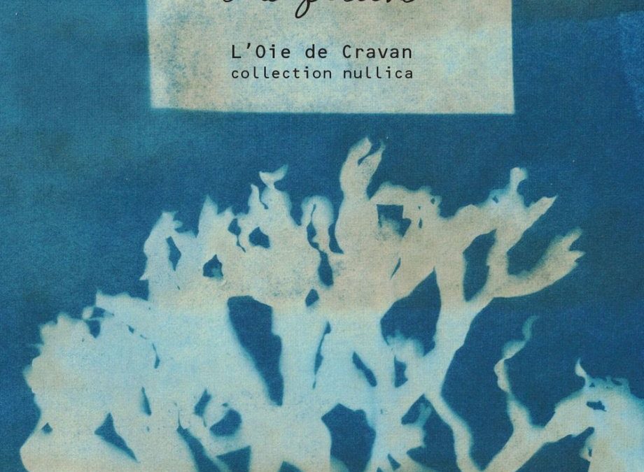 La fleuve